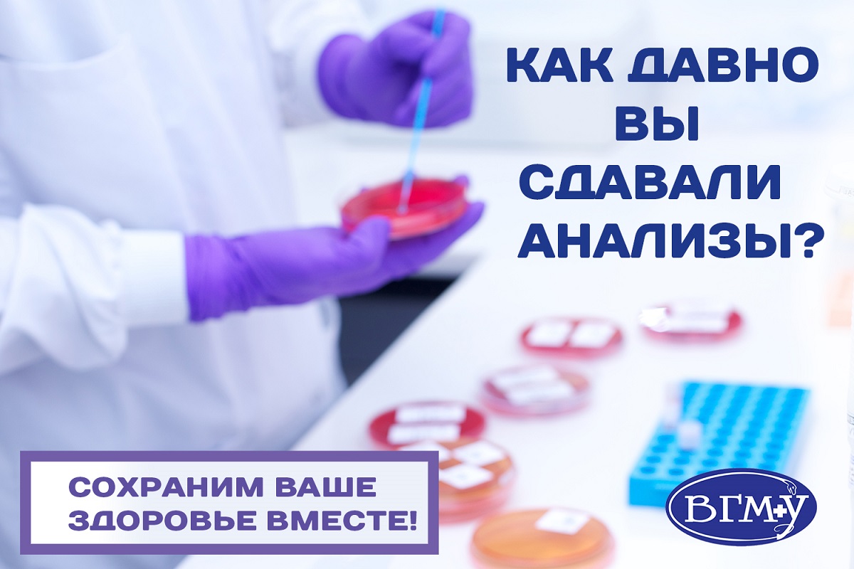 analisis