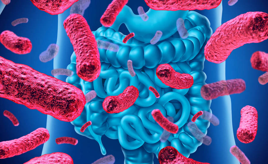 post microbiota